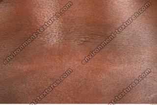 Photo Textures of Human Skin